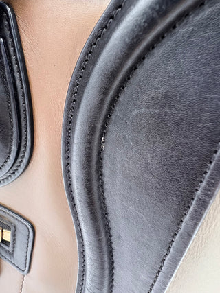 CELINE Mini Tricolor Luggage Medium