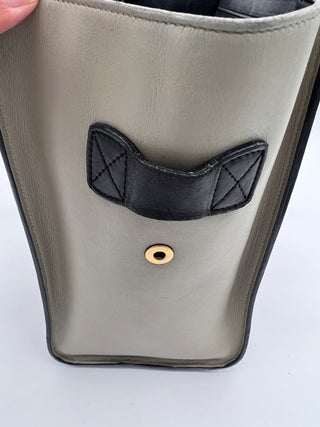 CELINE Mini Tricolor Luggage Medium