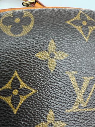 Louis Vuitton Blois Monogram Crossbody