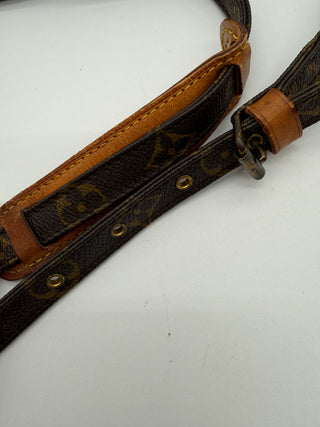 Louis Vuitton Danube Monogram Crossbody PM
