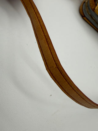 Louis Vuitton Monogram Vernis Mott Pochette