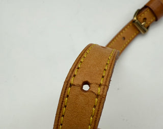 Louis Vuitton Blois Monogram Crossbody