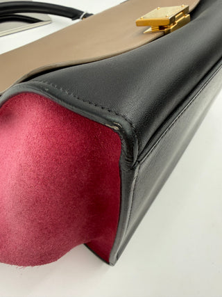 Celine Trapeze Tricolor 2way