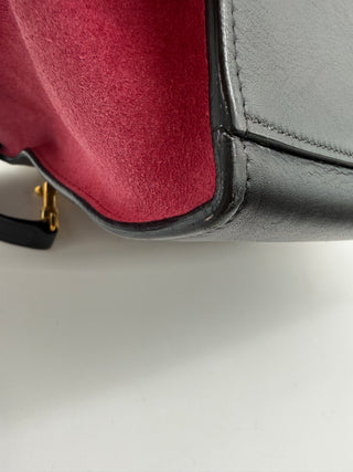 Celine Trapeze Tricolor 2way