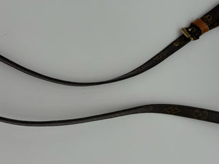 Louis Vuitton Amazon Crossbody