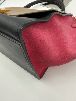 Celine Trapeze Tricolor 2way