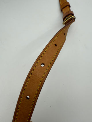 Louis Vuitton Blois Monogram Crossbody