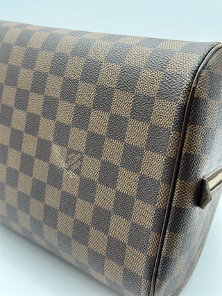 Louis Vuitton Damier Ebene Ribera MM